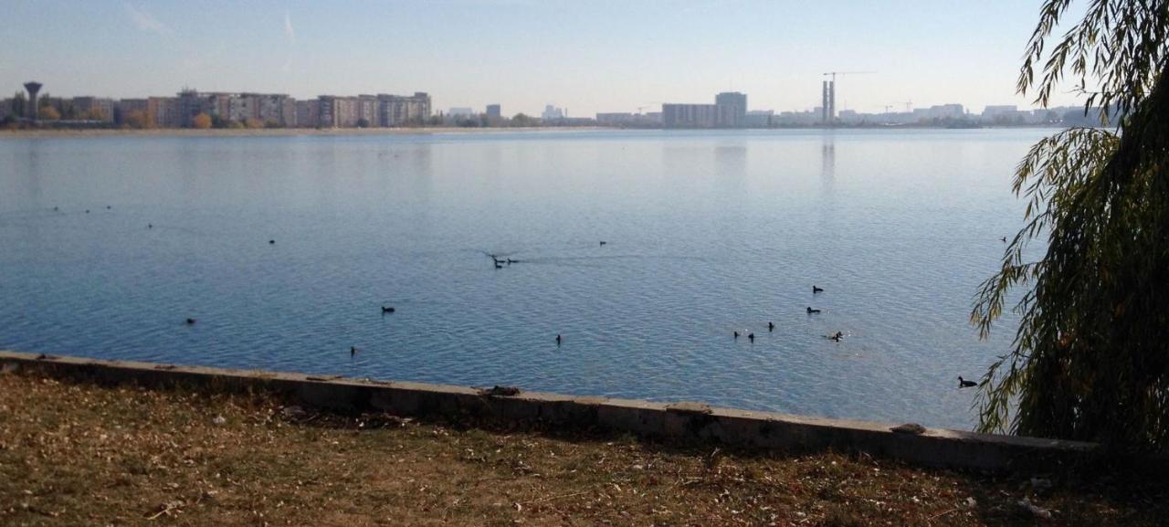 בוקרשט Fancy Penthouse Studio With Lakeview W10 מראה חיצוני תמונה